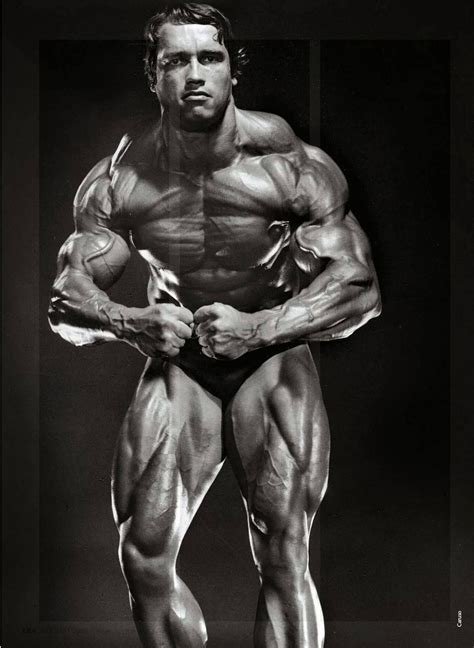 arnold schwarzenegger bodybuilding pose
